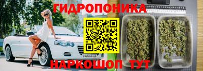 дживик Моздок