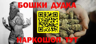 дживик Моздок