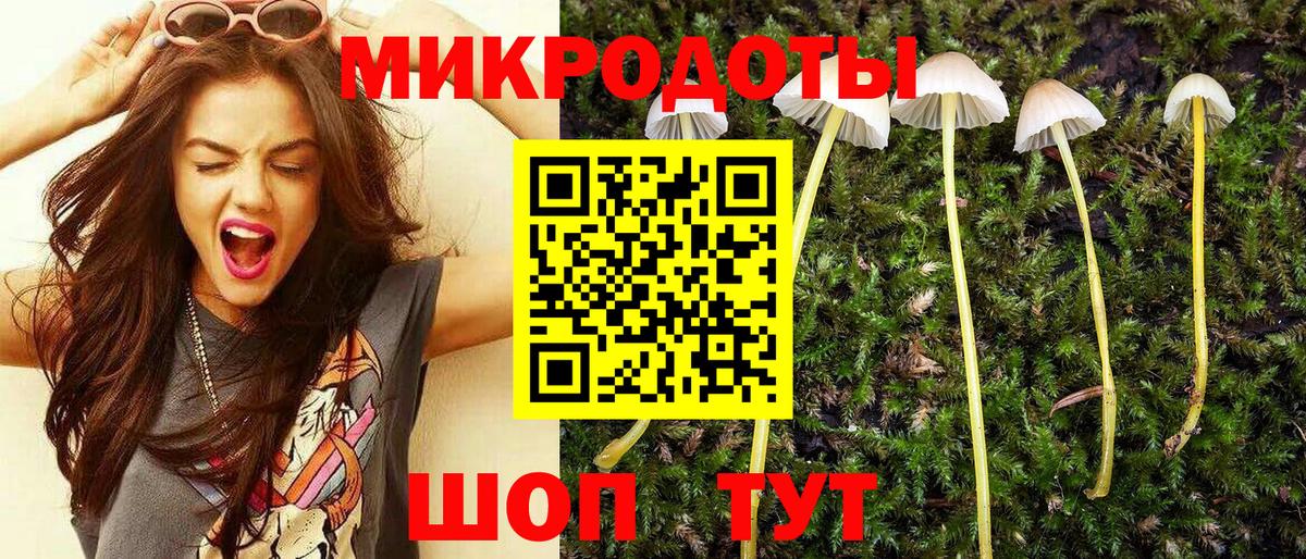Псилоцибиновые грибы Psilocybe Ржев