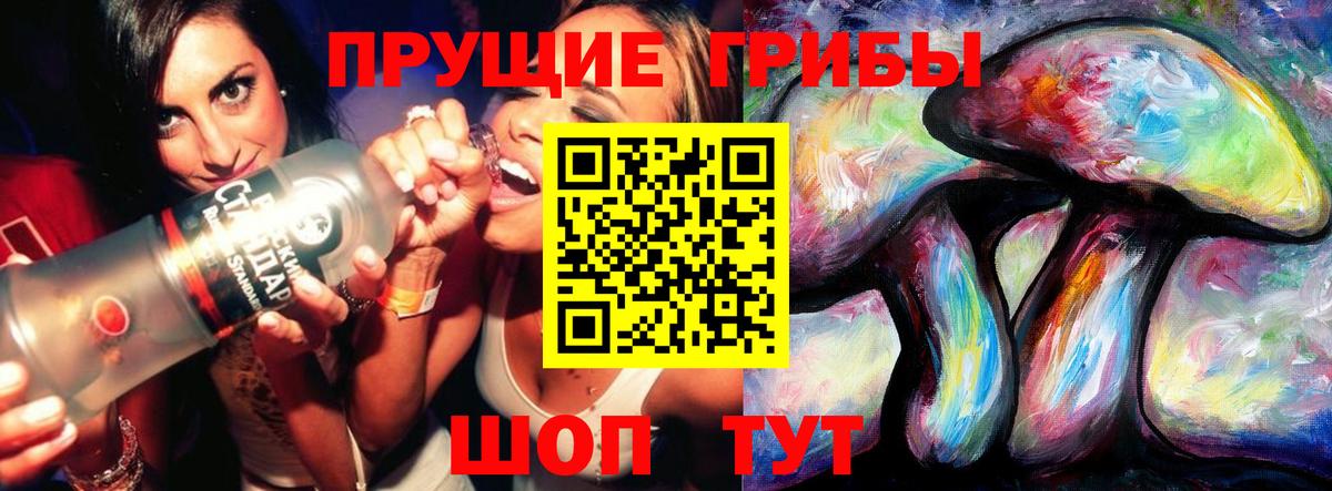 Галлюциногенные грибы Psilocybe  где можно купить наркотик  Ржев  Вход с VPN 